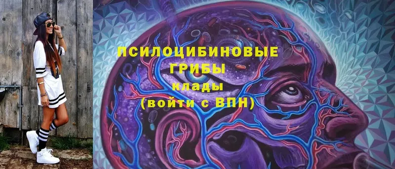 Галлюциногенные грибы MAGIC MUSHROOMS  Красный Сулин 